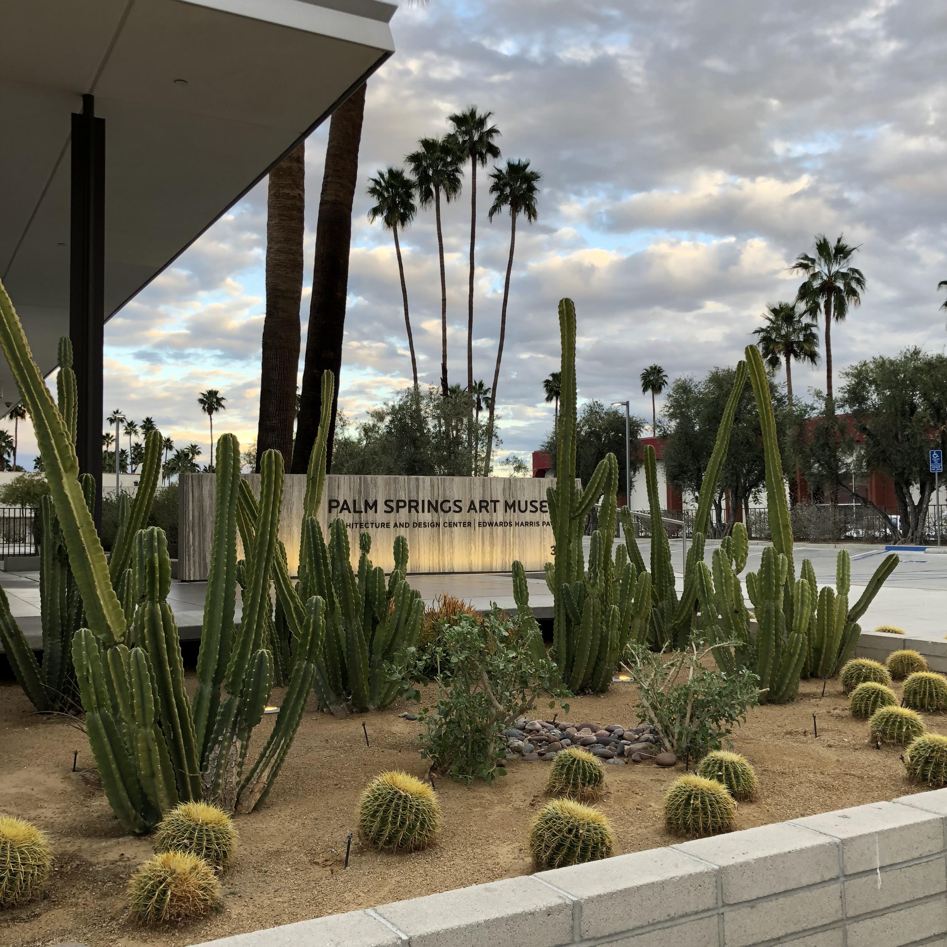 Here are some ways to get the information you're looking for. Love The Desert Cities And All Their Cacti Landscape Cactus