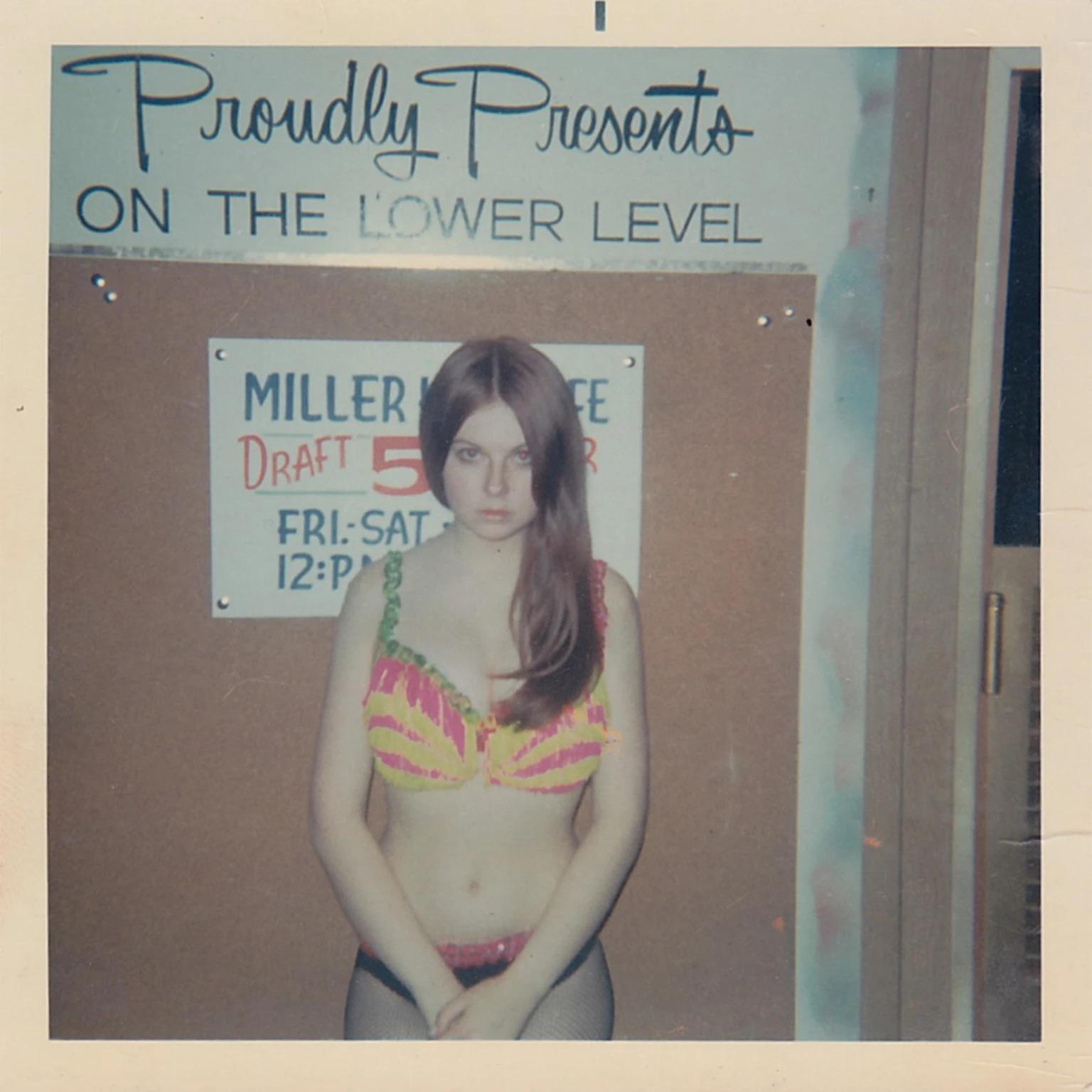 Elvira: An Illustrated History of The Mistress of the Dark - Flashbak