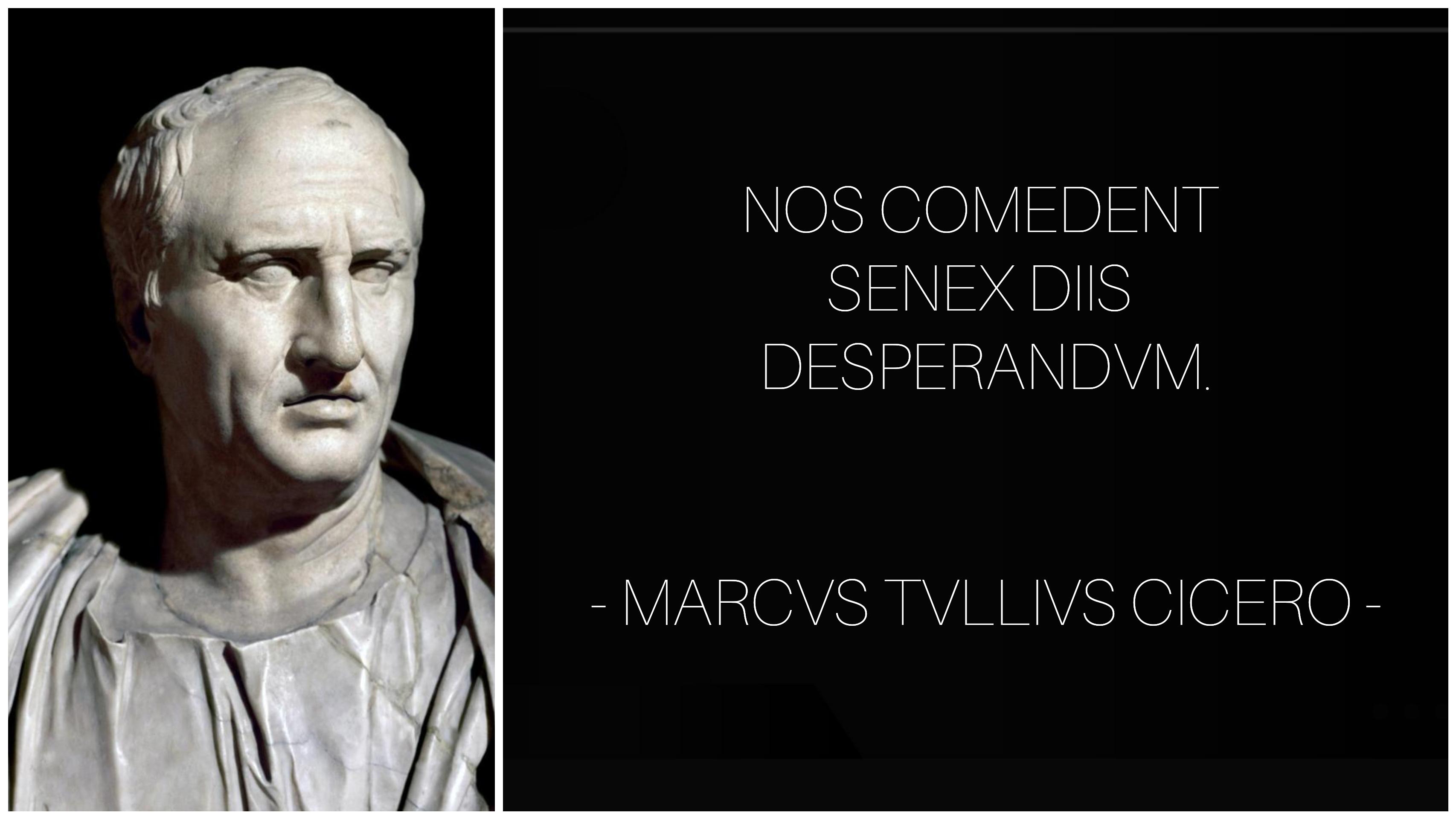 One Of My Favourite Cicero Quotes R Latin