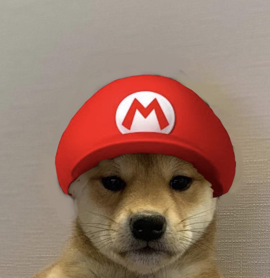 For all who got offended last time. Iâm one of the artists on the server. Still proud of this one lmao : dogwifhatgang