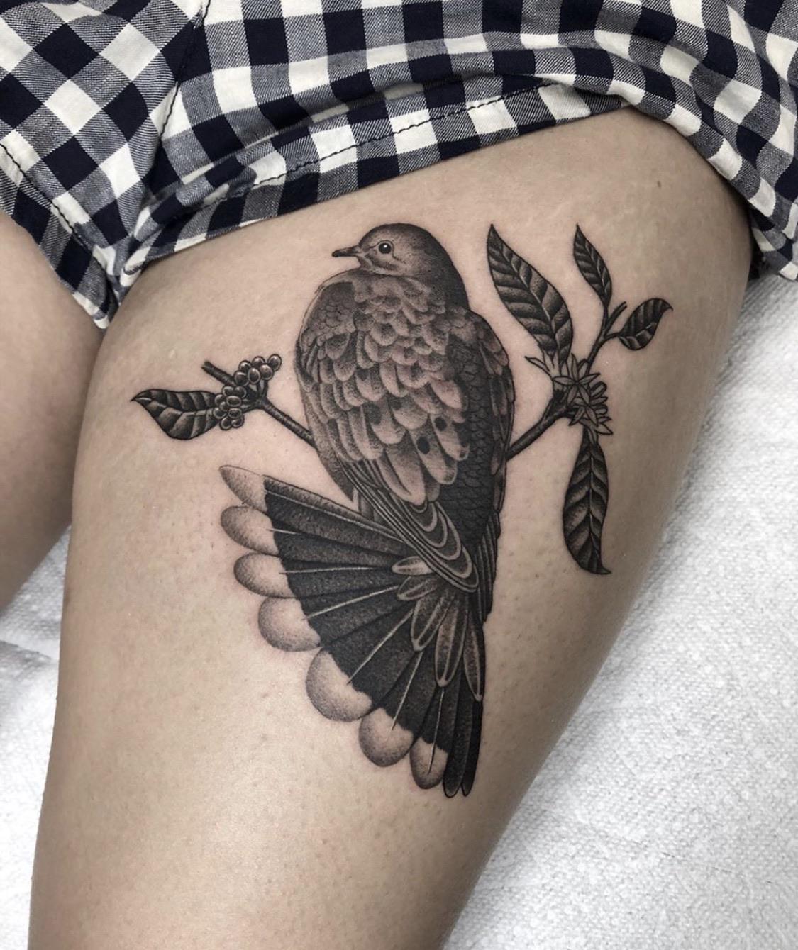 My First Tat! Mix Of Turtle Dove + Mourning Dove On A Coffee Branch By Adrian W. @ Los Muertos Tattoo Studio In Houston Tx – Tattoo Lover Family 1340_x_1125_jpg