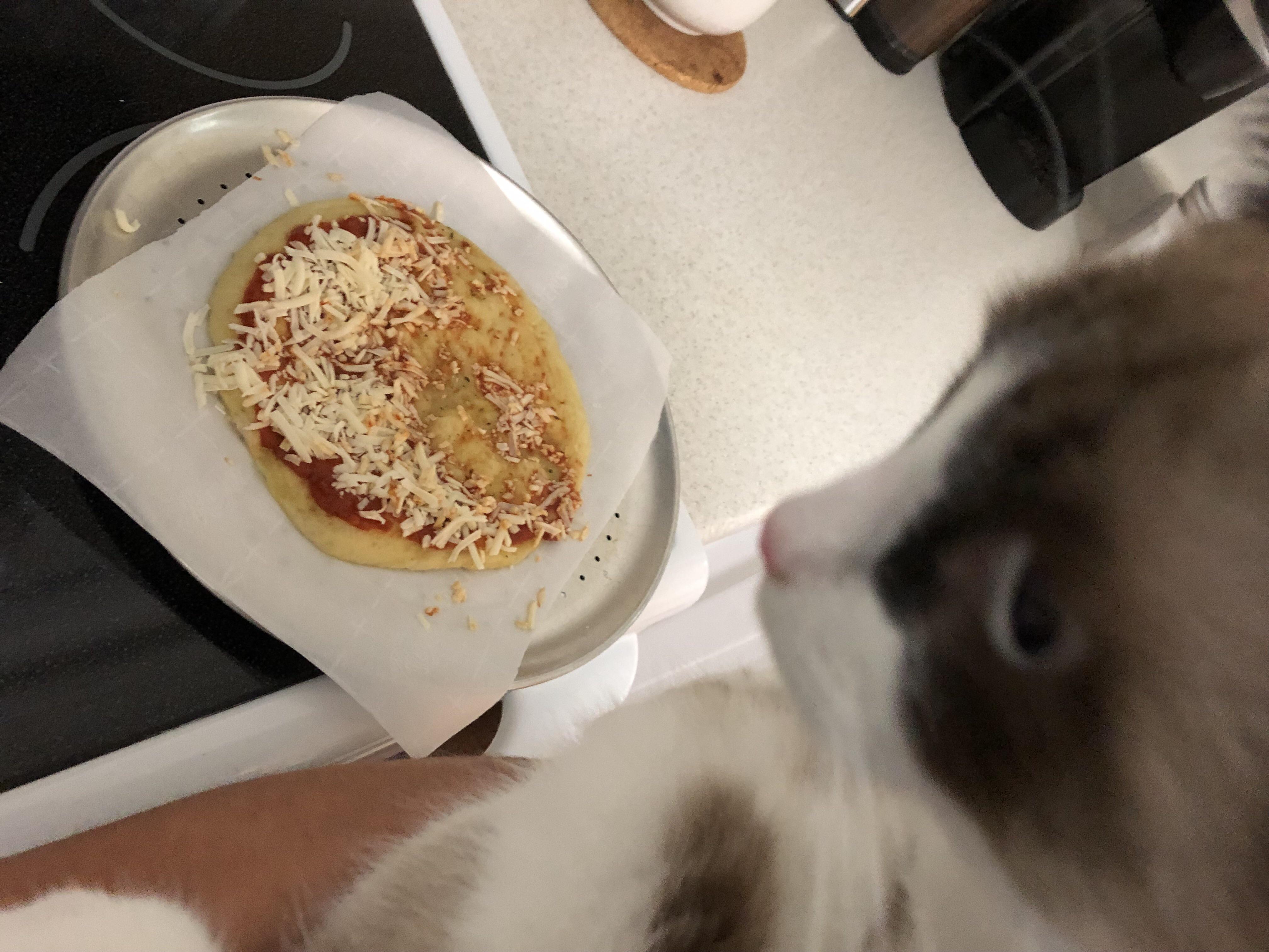 Lick My Pussy (Cat) - Coub - The Biggest Video Meme Platform