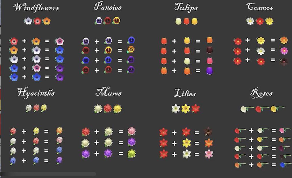There are many unique flowers throughout the world that have interesting backgrounds. Best Hybrid Flower Guide Yet In Acnh Animalcrossing