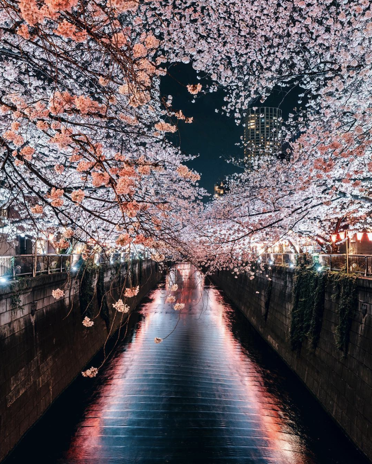 To add a zoom background, open the settings tab of your zoom and go to the virtual background section. Meguro River, Japan (x-post from /pics) : MostBeautiful