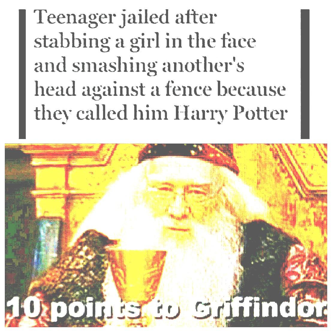 What are harry potter memes? overview for CxLoucoxD