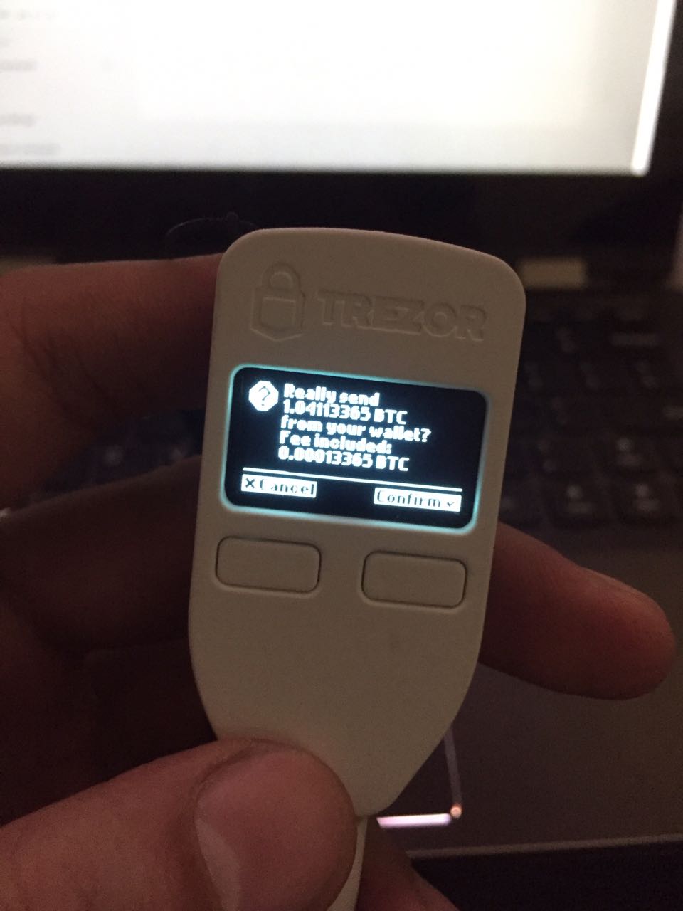 The other problem is that apparently a lot of paper wallet . How To Hide Your Bitcoin With Ledger Nano S Bitcoin Trezor Vs Satoshilabs Reddit