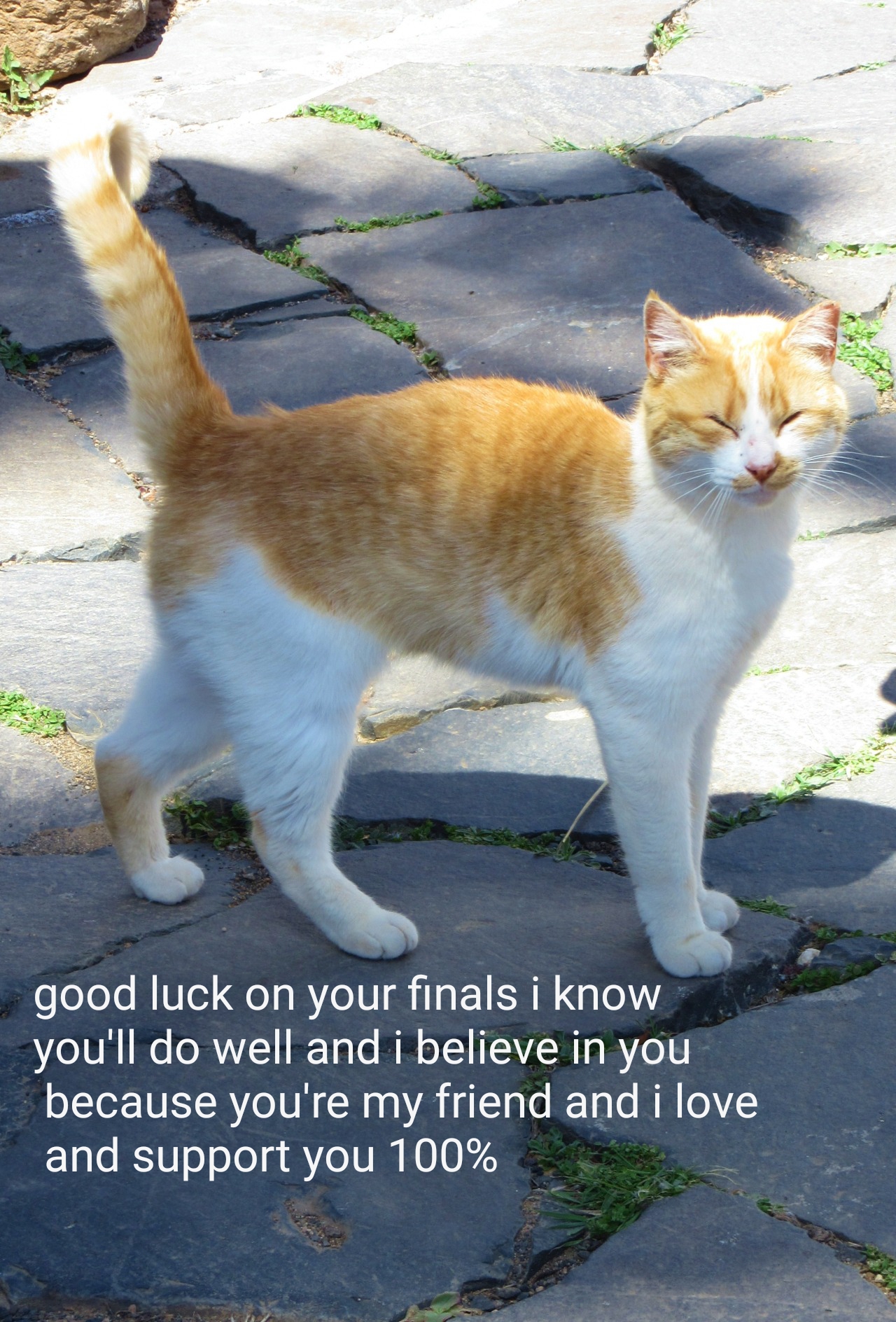 Mondays can be harsh or magnificent. My first attempt at a wholesome meme! What do you guys think? : wholesomememes