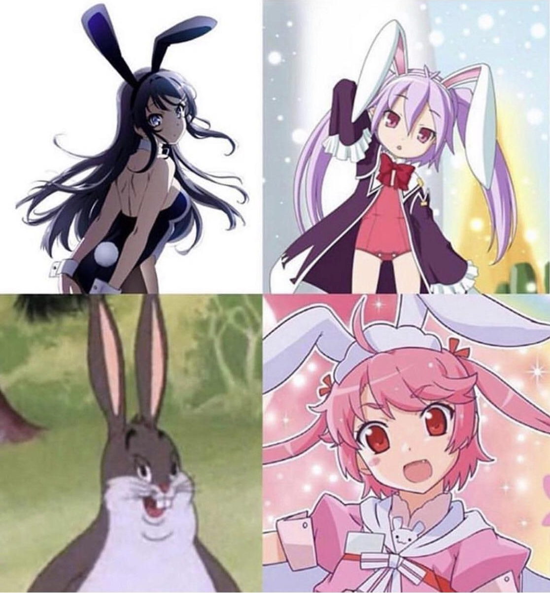 With tons of animation programs out there, it’s probably tempting to jump right into the mix. The Anime Among Us R Thechungusamongus