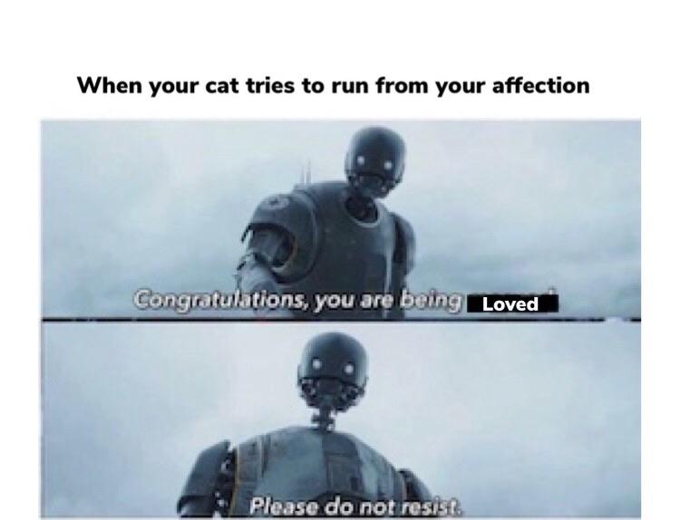 Girlfriend cold feet meme.you have become the most important person in my life, and i cannot live without you. Get Back Here For Your Cuddle Memes