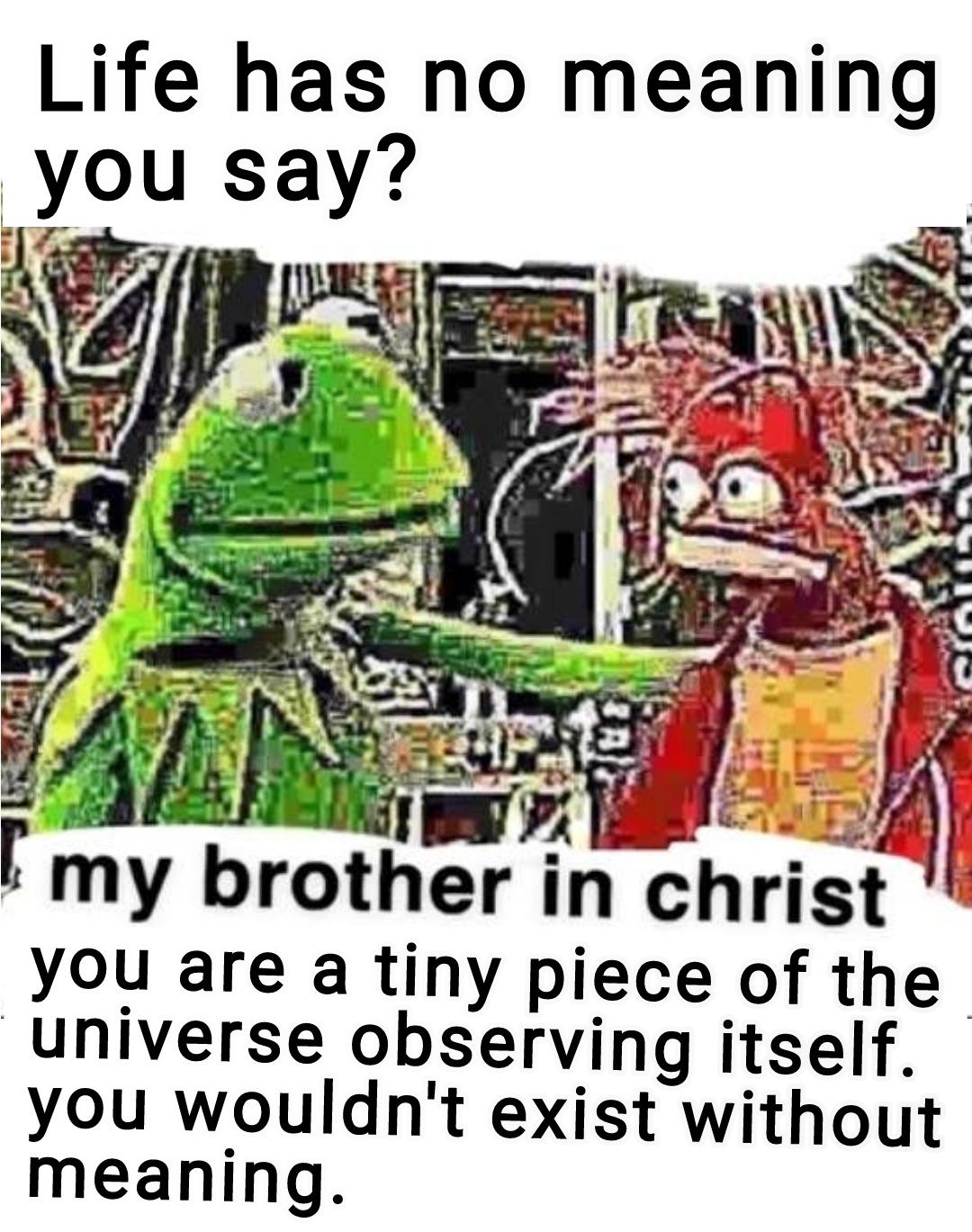 Hug the Taboo- Crop Top Shirt & Explicit Furry Content