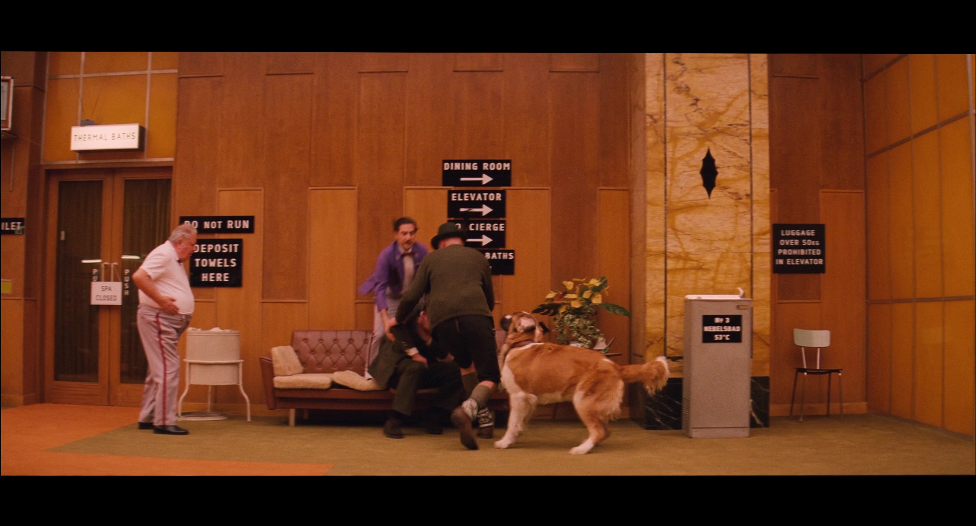 The grand budapest hotel tells of a legendary concierge at a famous european hotel between the wars and his friendship with a young employee who becomes his . In The Grand Budapest Hotel 2014 Wes Anderson Randomly Cast A St Bernard He Saw In The Streets Of Gorlitz Germany While They Were Filming He Also Avoided Hiring An Animal Wrangler