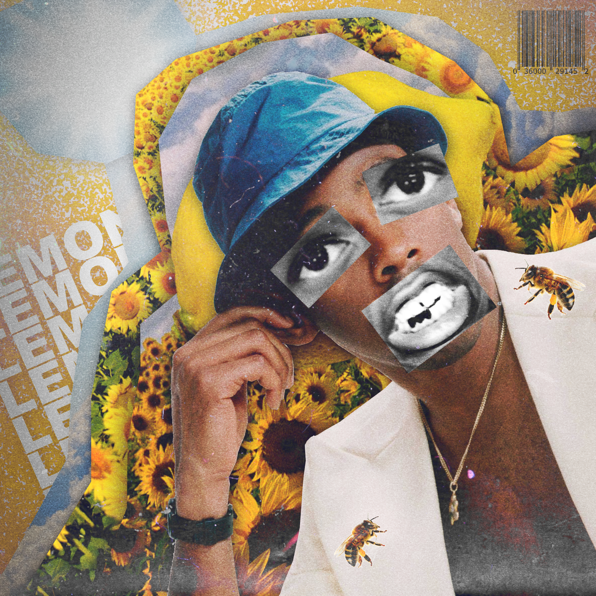 Tyler The Creator Lumberjack Cover Art - Tyler The Creator - Lemon Heads (Cover Art) : tylerthecreator