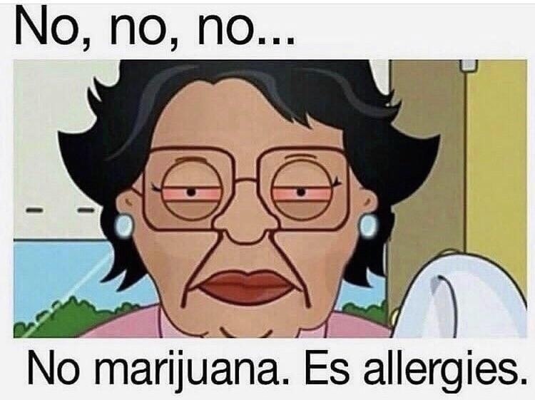 This meme pokes fun at family guy's cleaning lady character consuela, and at her efficient methods in keeping the griffin house spotless. Consuela Family Guy No No I Clean