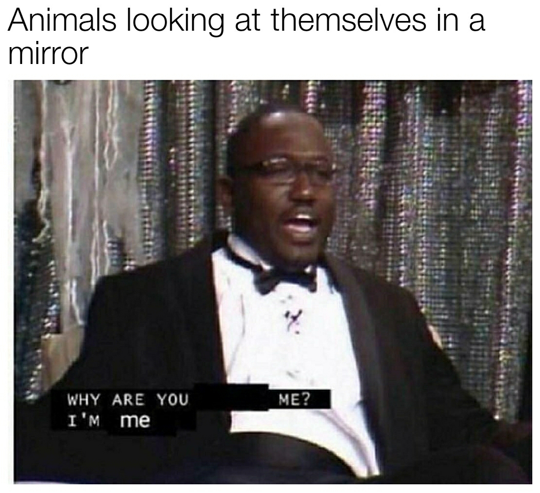 She/her, shipping friendly but not in . Wack : dankmemes