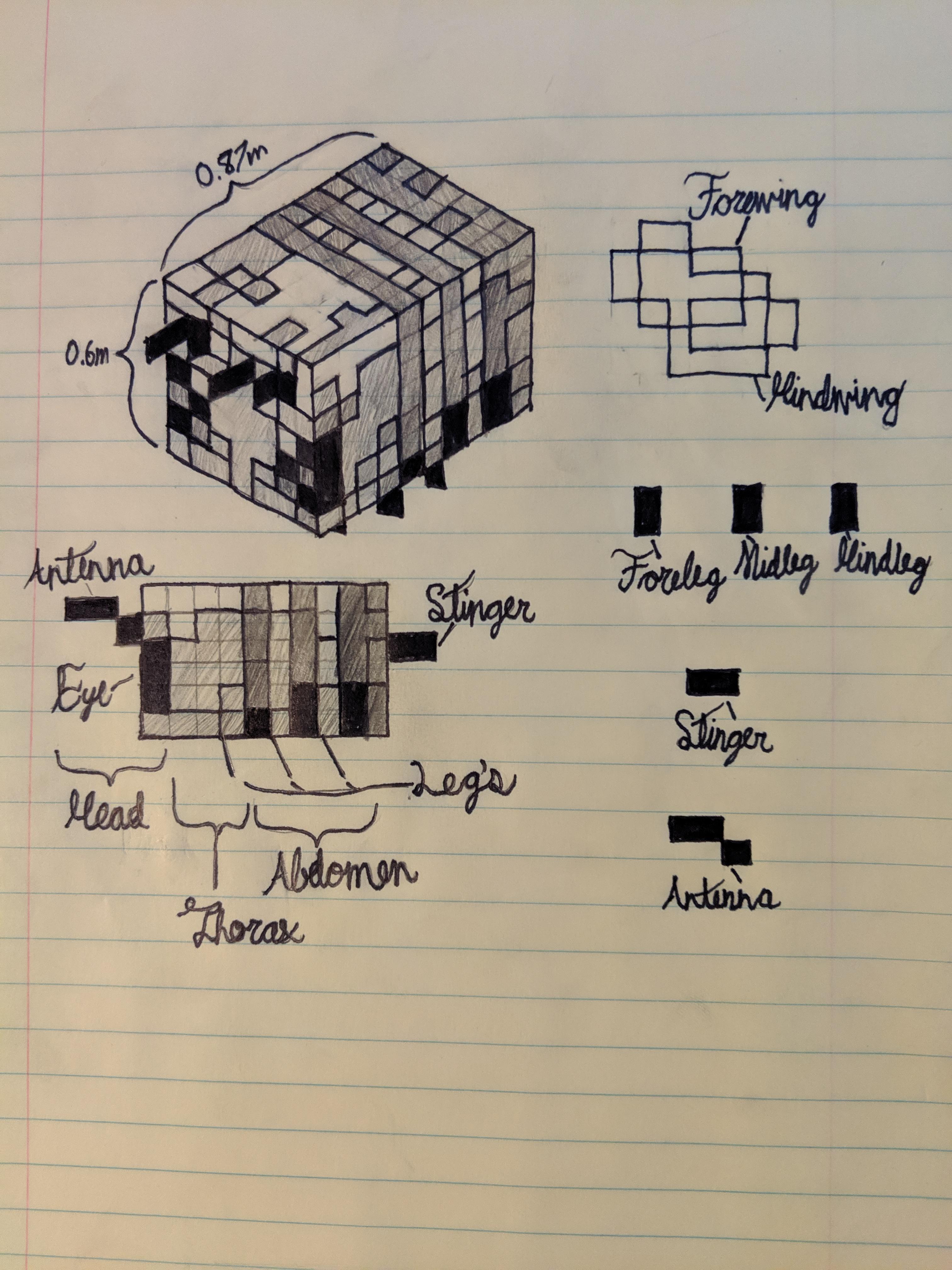 In Celebration Of Bees Being Added To Minecraft I Decided To Make An Anatomy Drawing Of The Bee I Messed Up The Side View By One Pixel Height Sorry Minecraft