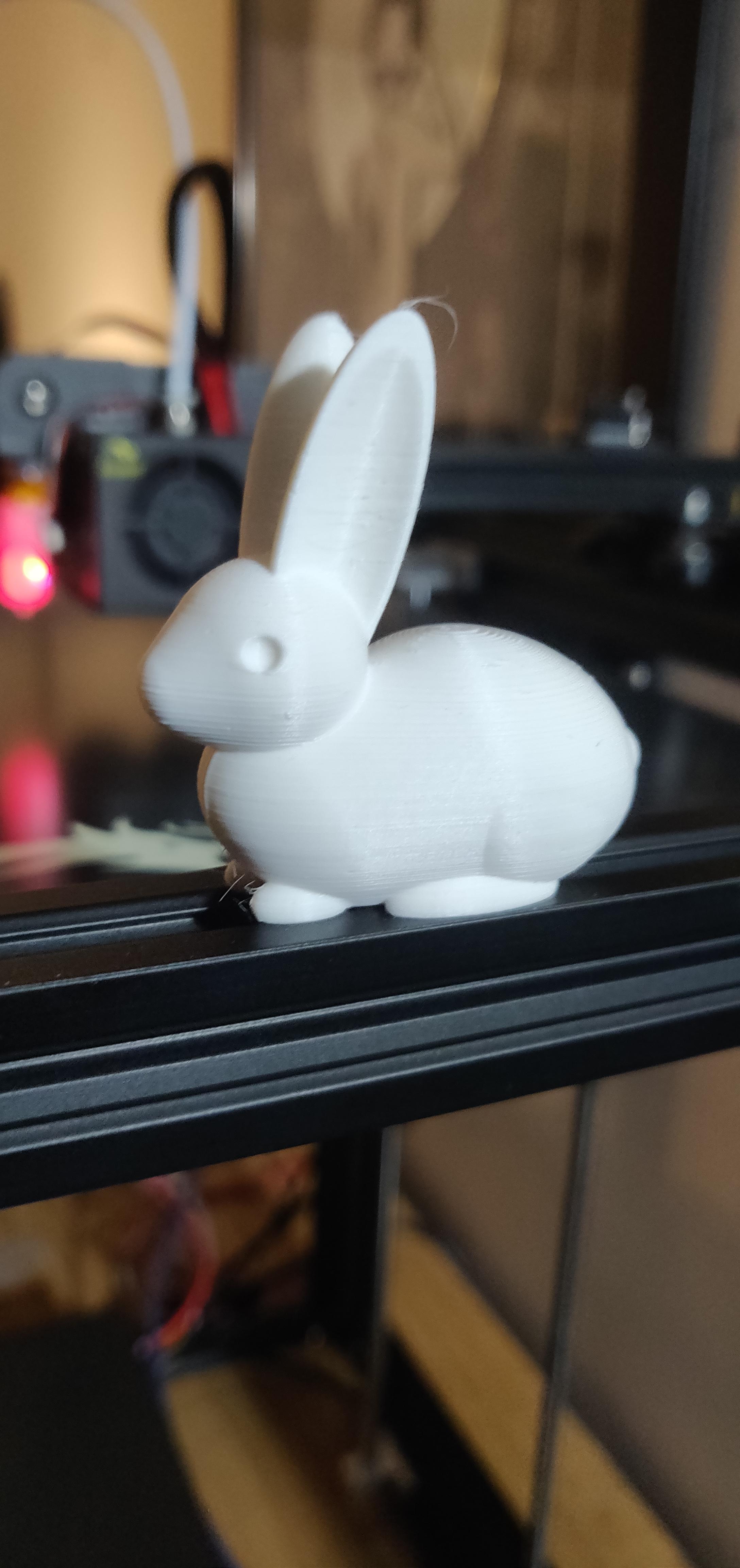 After Three Weeks Of Struggles Failures And Upgrades I Finally Got My First Print Ender5