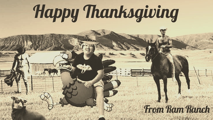Find facts about thanksgiving and fun facts about thanksgiving at womansday.com. Happy Thanksgiving Cowboys Asianandy
