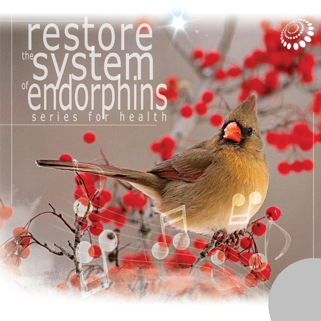 The central nervous system is made up of the brain and spinal cord. Restore The Central Nervous System With Singing Of Birds Album By Nederica Stepan Spotify