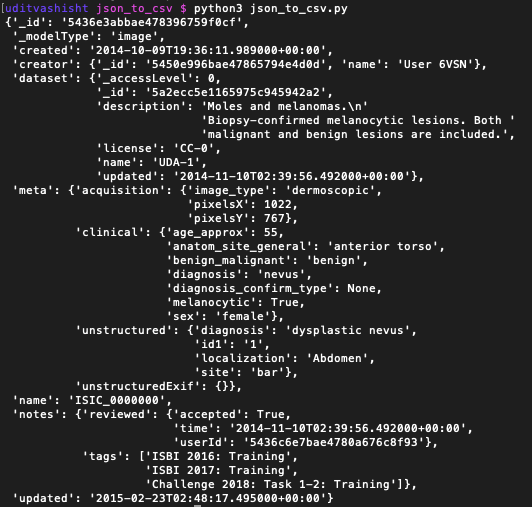 JSON File Structure