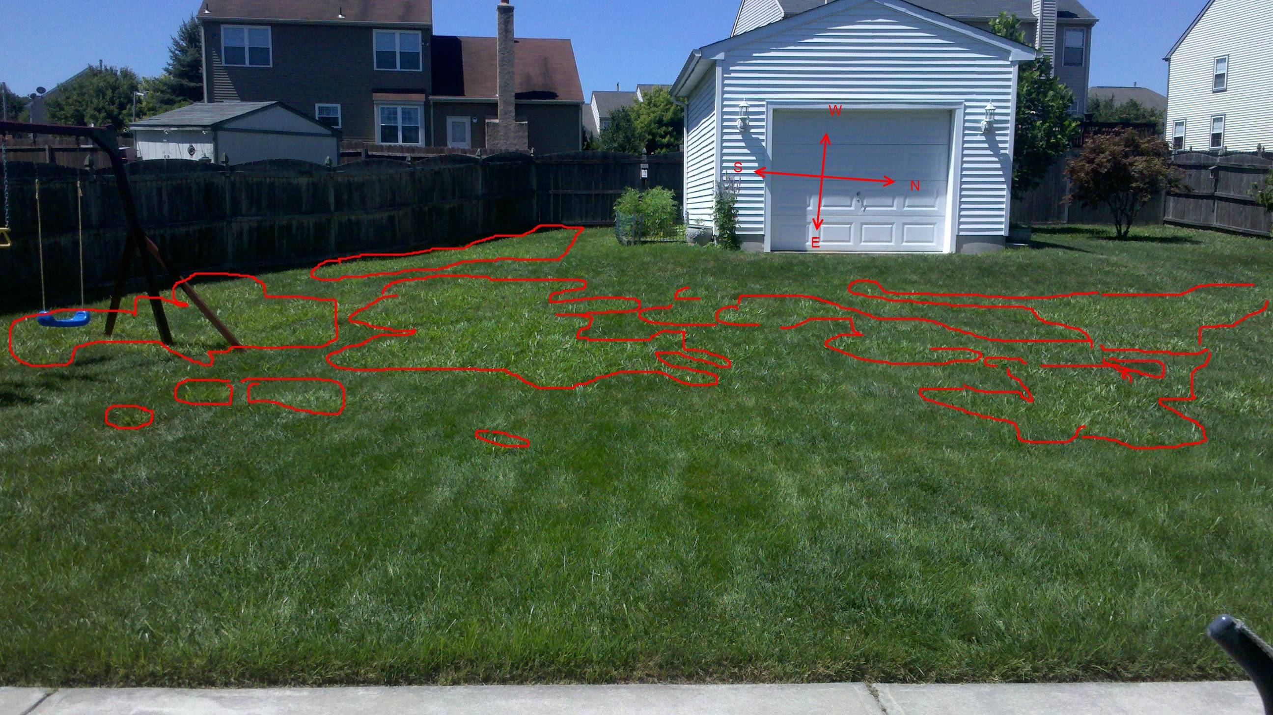 Whatever product you use to kill cg will kill clover. weed control - Should I bag lawn clippings from a