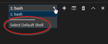 Select Default Shell option