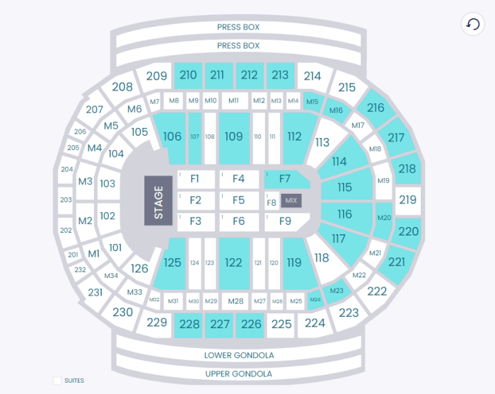 Vibrant Arena Seating Chart