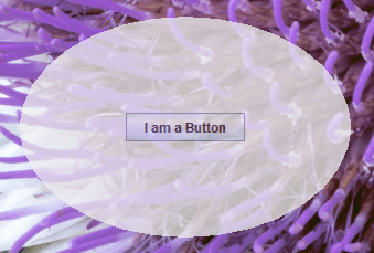 关于Java:更改Jframe形状 码农家园