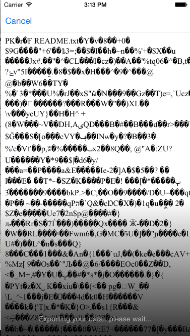 Zip File displayed in WKWebView