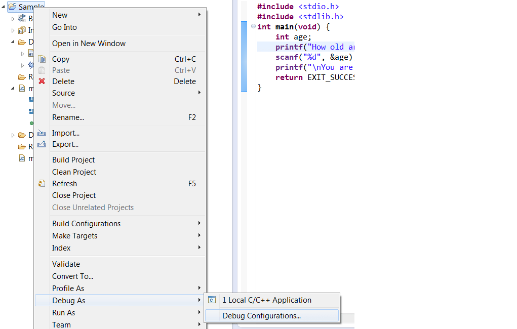 Debug configuration