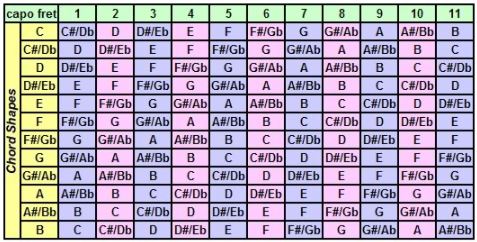 Muss ein kapodaster teuer sein? guitar - I have learnt a song in the key of D what capo