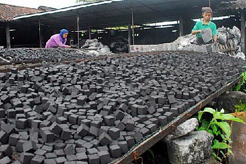 Briket Batubara! Bahan Bakar Alternatif Pengganti BBM - Ilmu Tambang