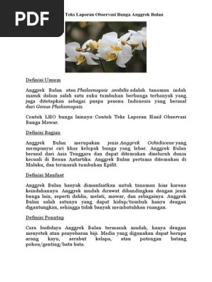 Contoh Teks Report Tentang Bunga Melati Berserta Contoh Soal