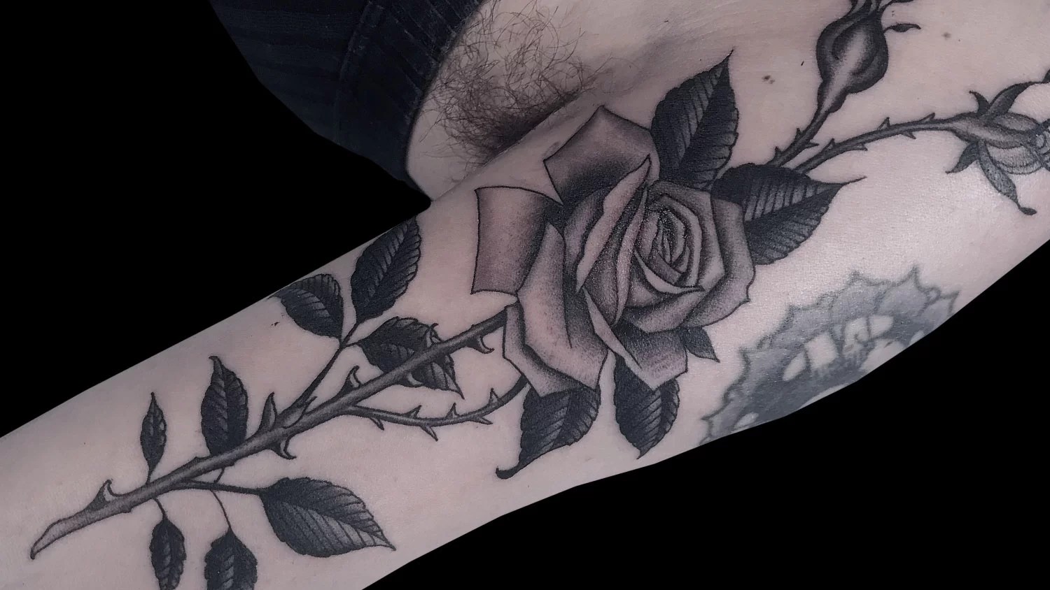 20 Rose Tattoo Ideas - Kings Avenue Tattoo 844_x_1500_jpg