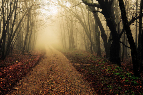 Jalan Sunyi – linimasa