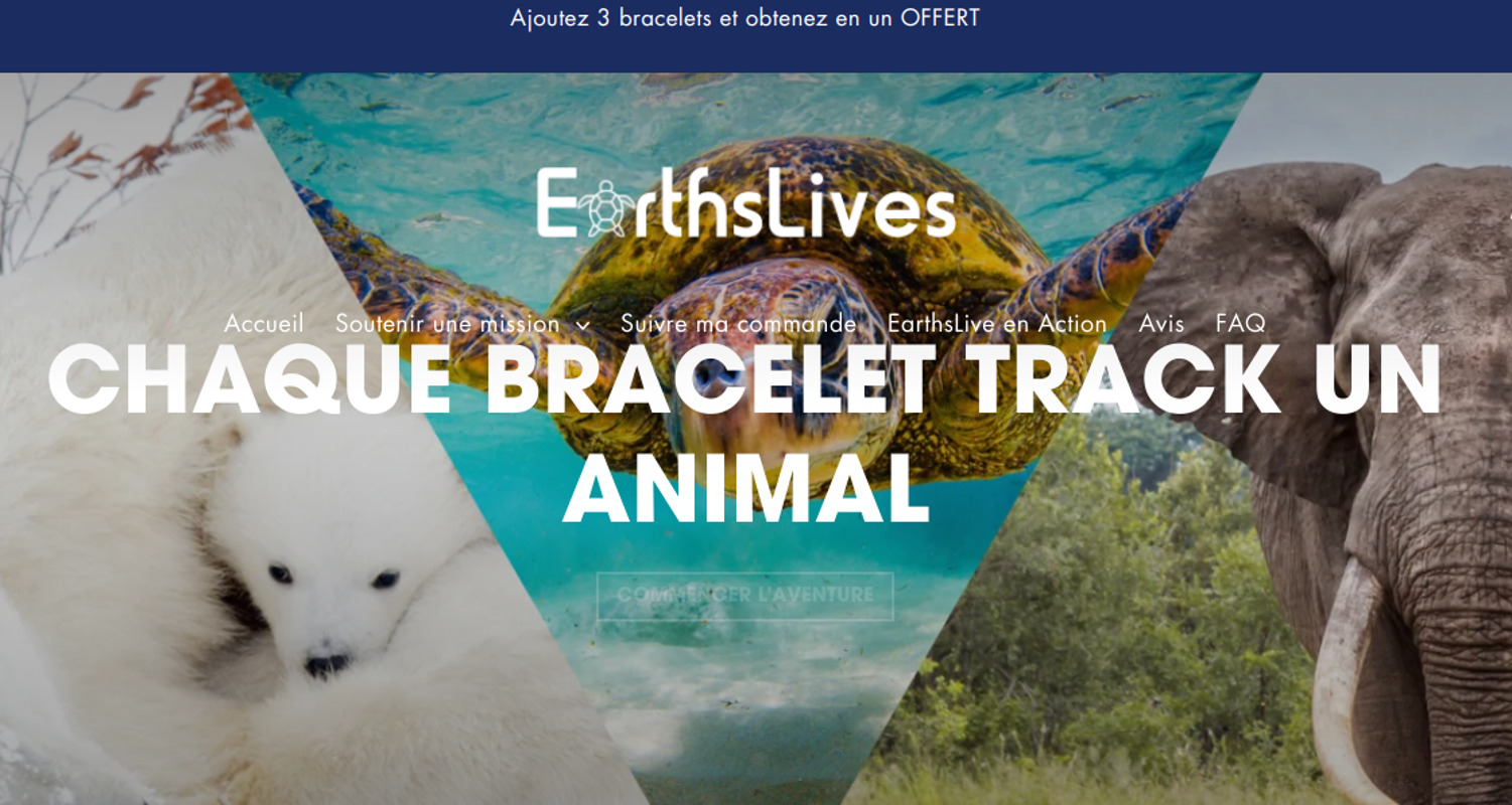 L&rsquo;arnaque du moment : des bracelets chinois pour sauver les animaux…