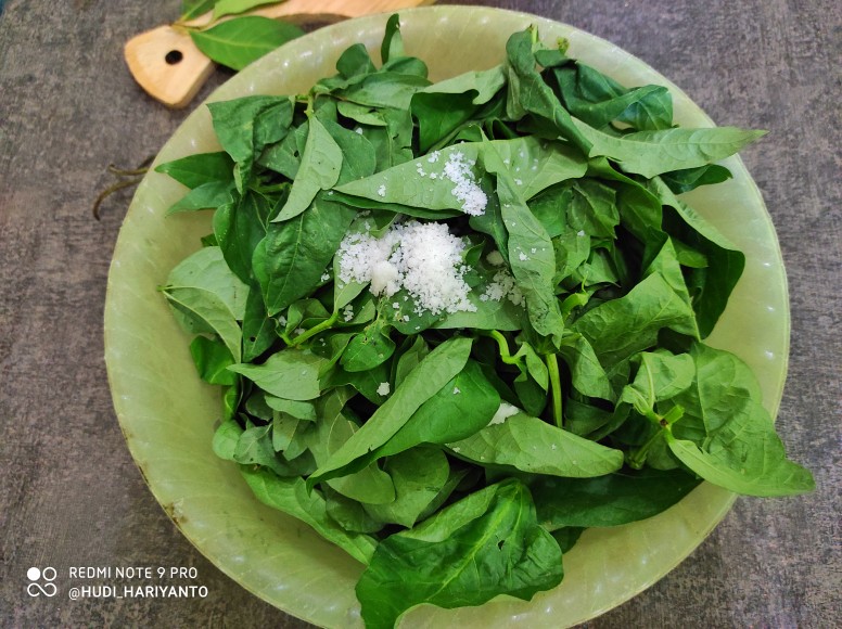Sayur Lembayung, Sayur Jadul yang Tetep Endul #CookingWithMi - Majalah Mi  Fan Club - Mi Community - Xiaomi