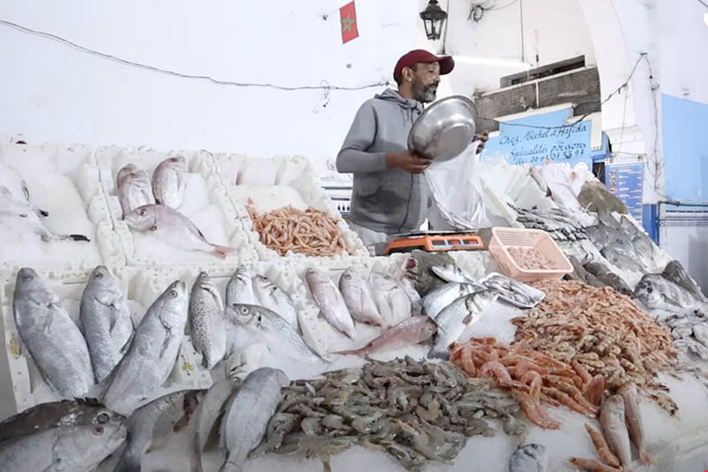 السمك بثمن غير معقول السمك بثمن غير معقول