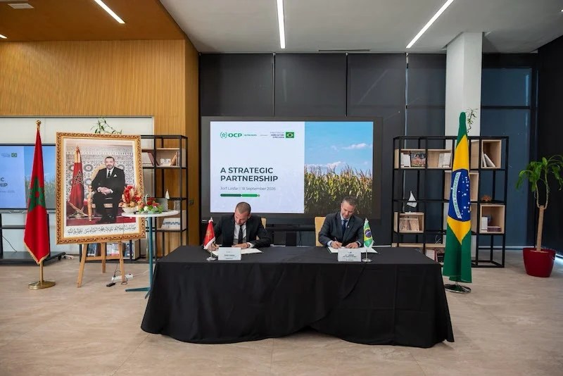 البرازيل تراهن على أسمدة المغرب لتجاوز أزمة سلاسل الإمداد العالمية البرازيل تراهن على أسمدة المغرب لتجاوز أزمة سلاسل الإمداد العالمية