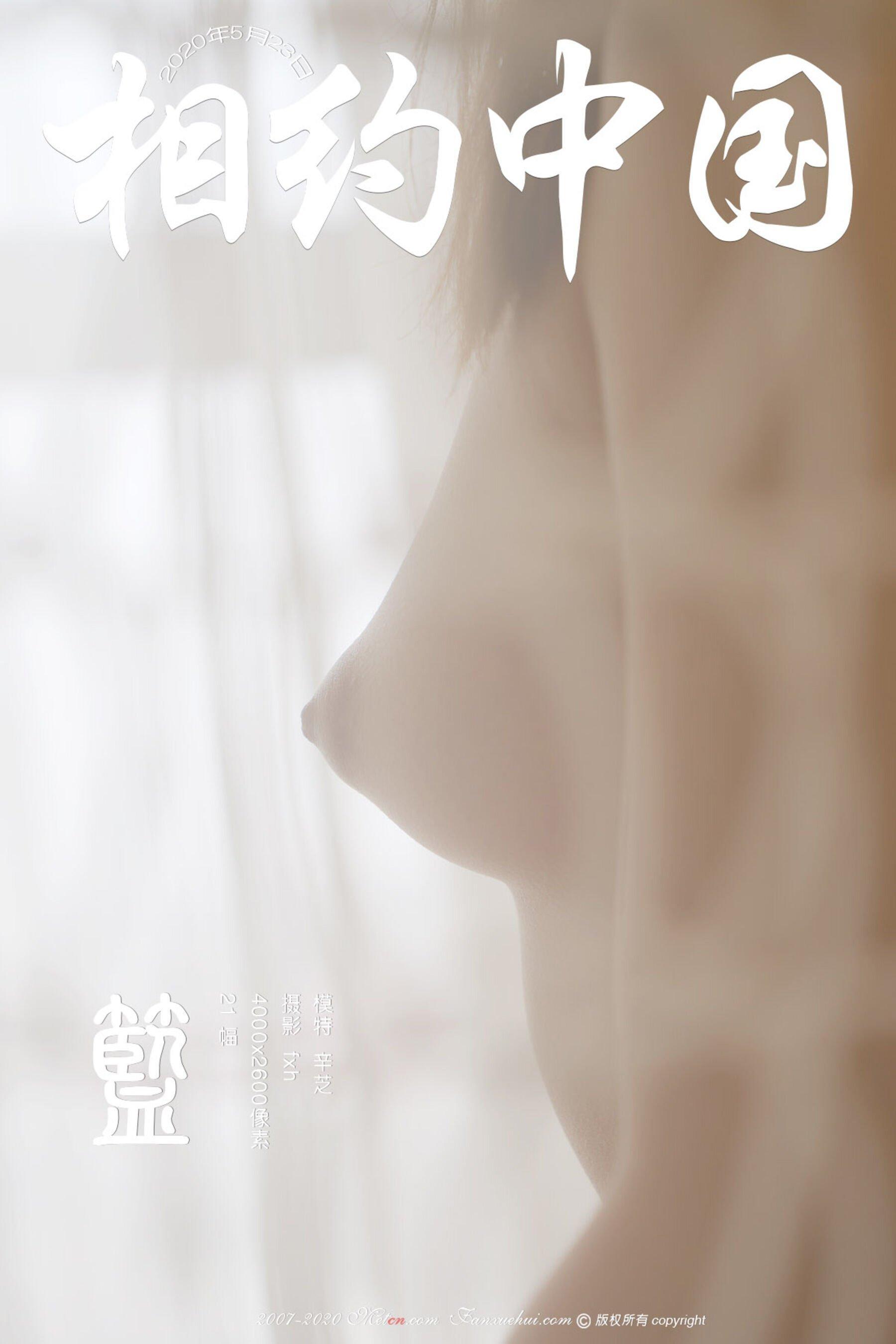 相约中国 辛芝《蓝》