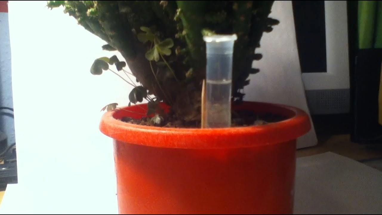 30 Anleitung Bett Selber Bauen