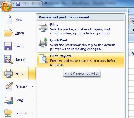 4.3. Menggunakan fitur-fitur pencetakan seperti: page setup, printer setup,  header dan footer, print preview. - Hanifa Ariani portofolio