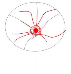 рисуем по точкам вазу с фруктами