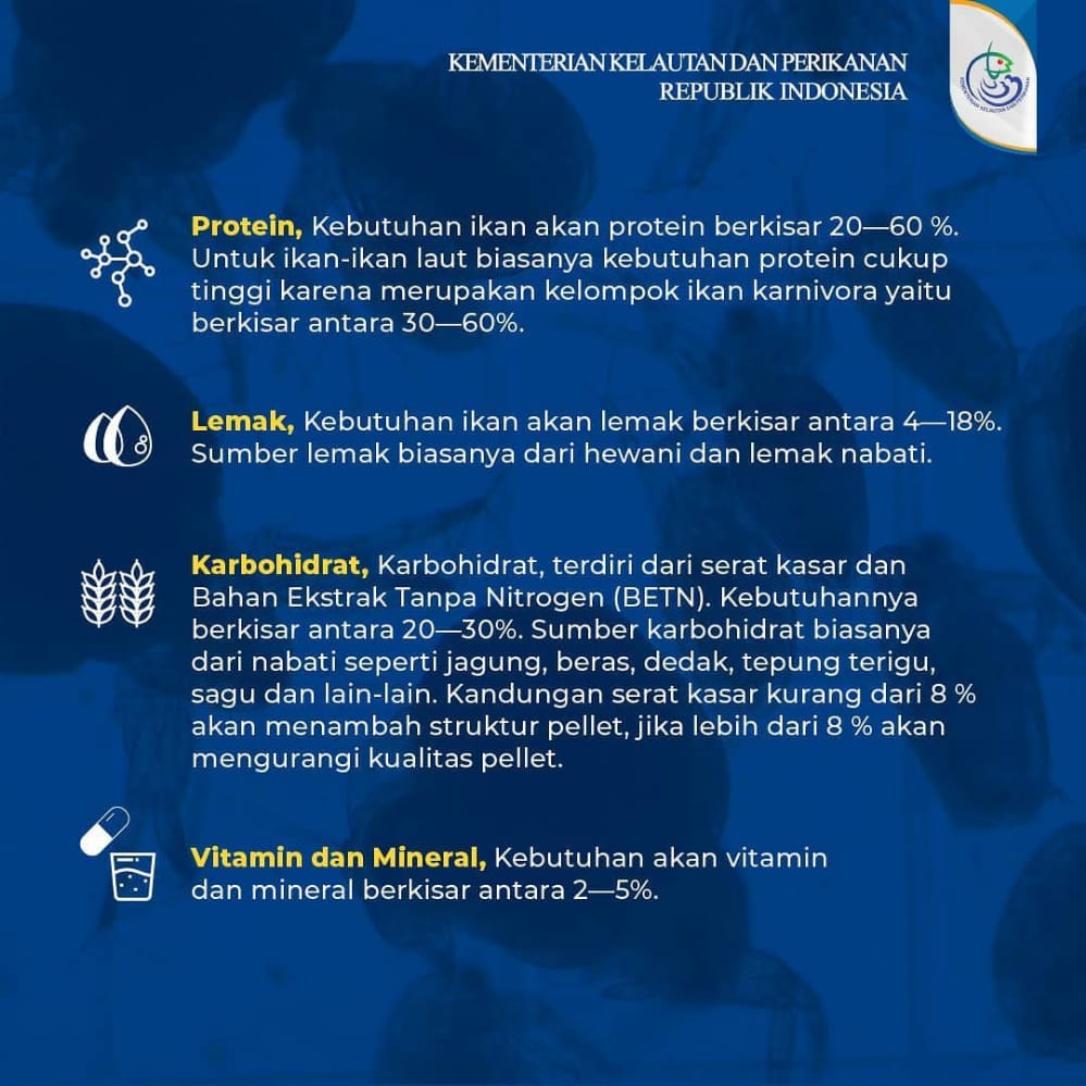 Cara Budidaya Ikan Bandeng Yang Terbukti Meningkatkan Hasil Panen