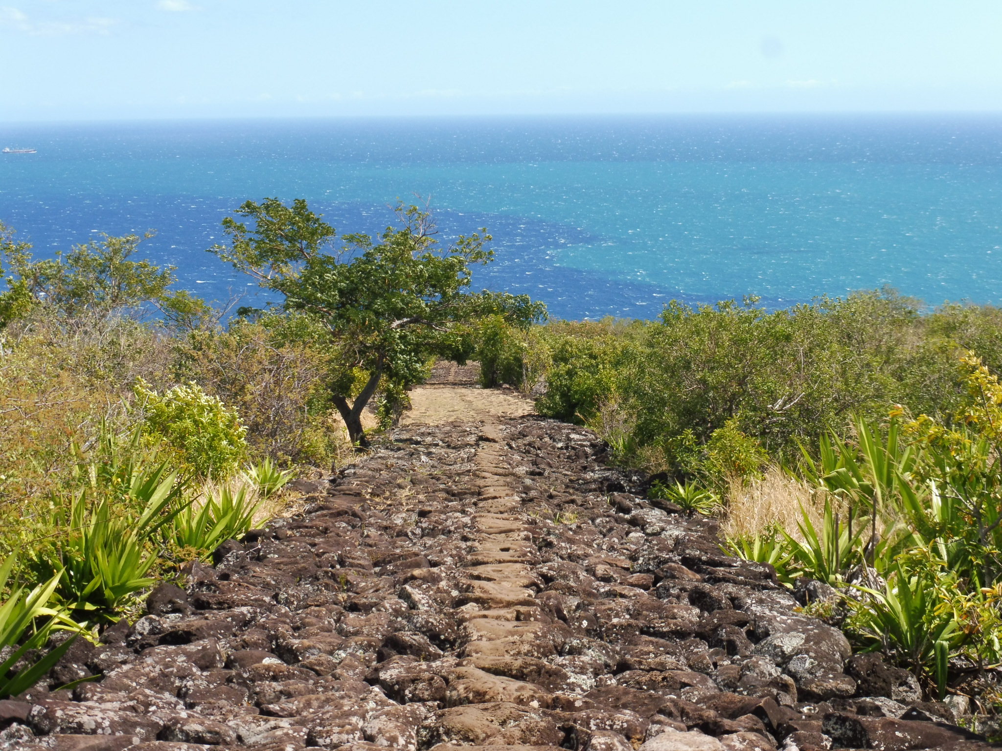 Des Sentiers En Anglais  . Les Séjours Et Cours De Notre École Linguistique Pour Adultes Sont Toujours Succès.