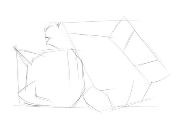 как нарисовать тетерева карандашом поэтапно для детей