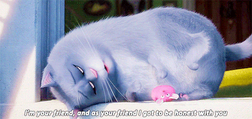 We did not find results for: Help Us What Color Is Chloe The Cat From The Secret Life Of Pets