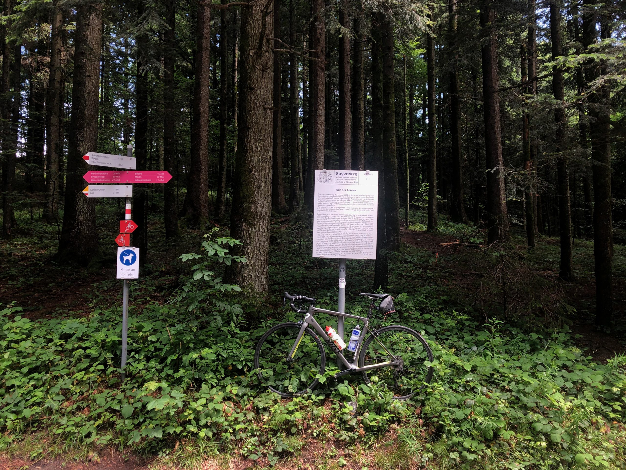 Bregenzerwald - Lorenapass - iamcycling.de