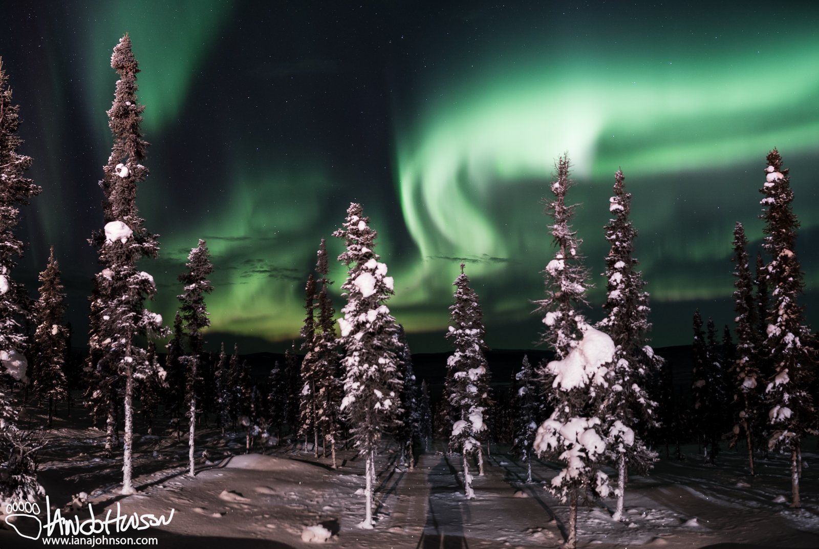 DSC_6243-Pano