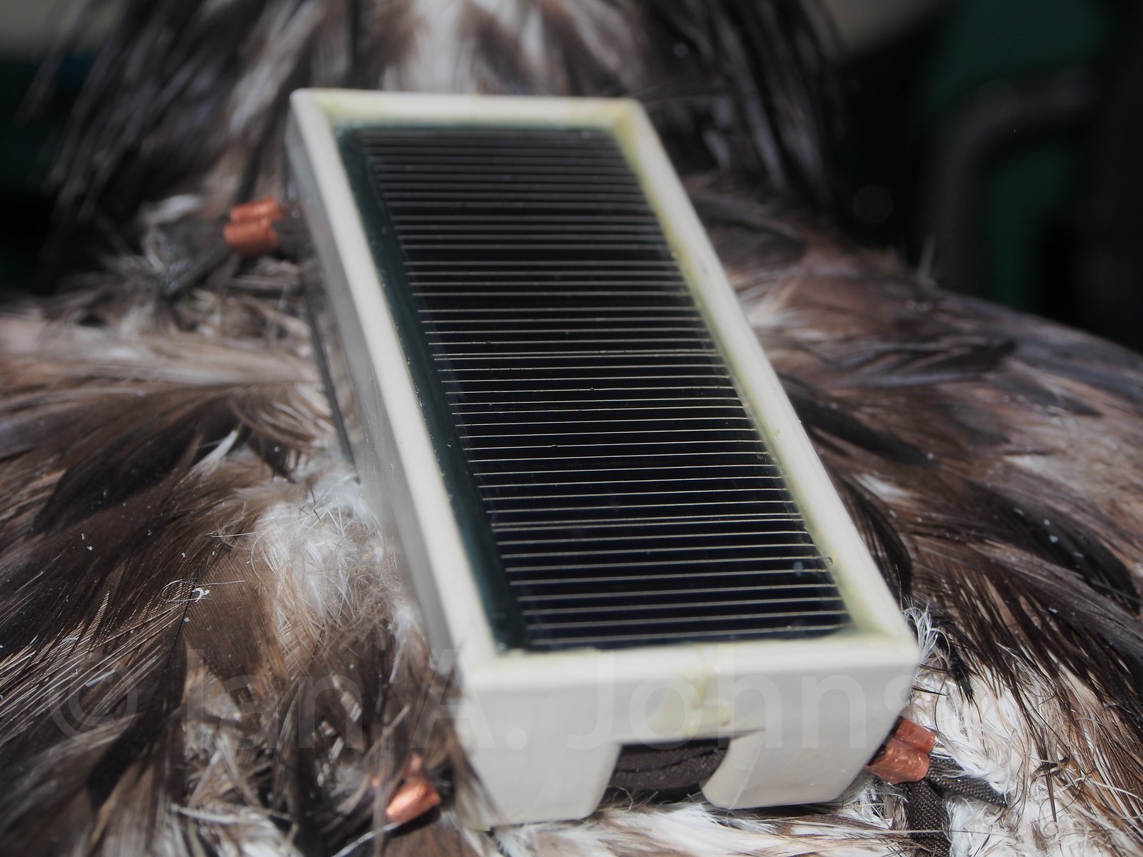 This GSM transmitter is charged by solar power and transmits via cellular networks.
