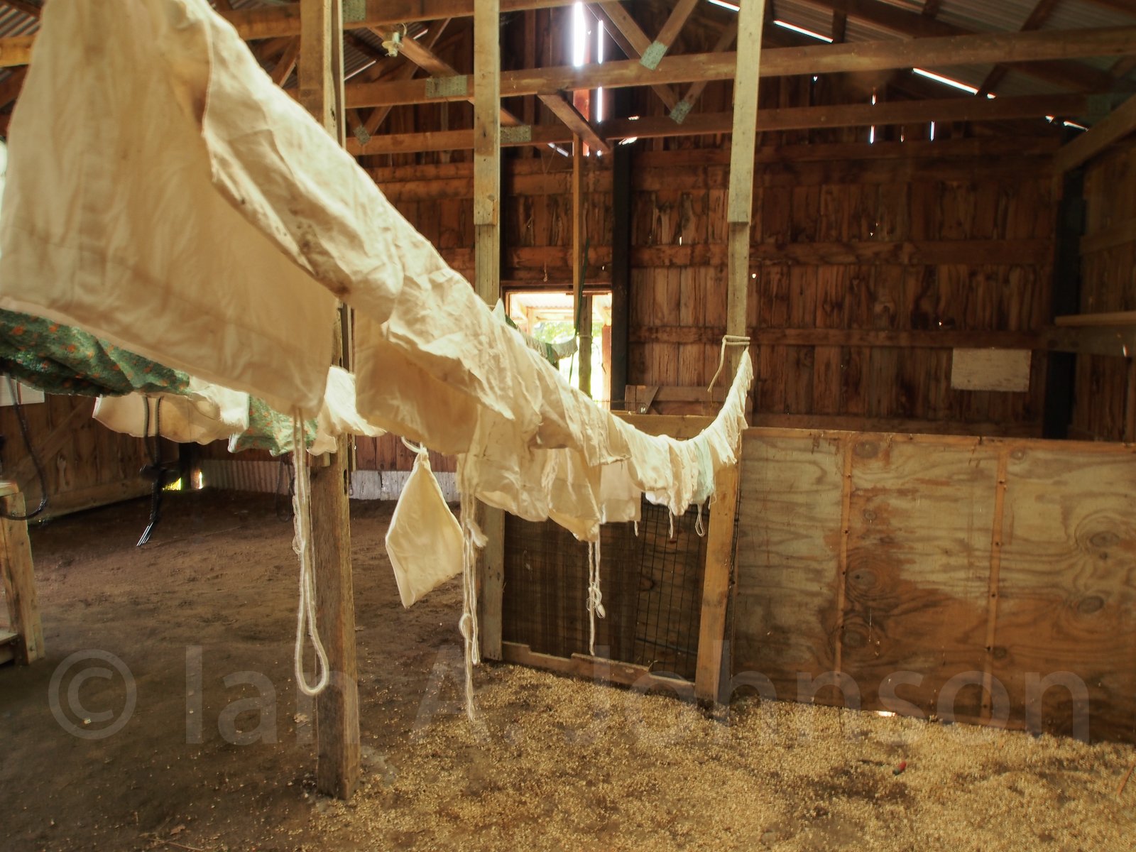 Heres a shot inside the banding station at Riverpoint Conservation Area, Maine